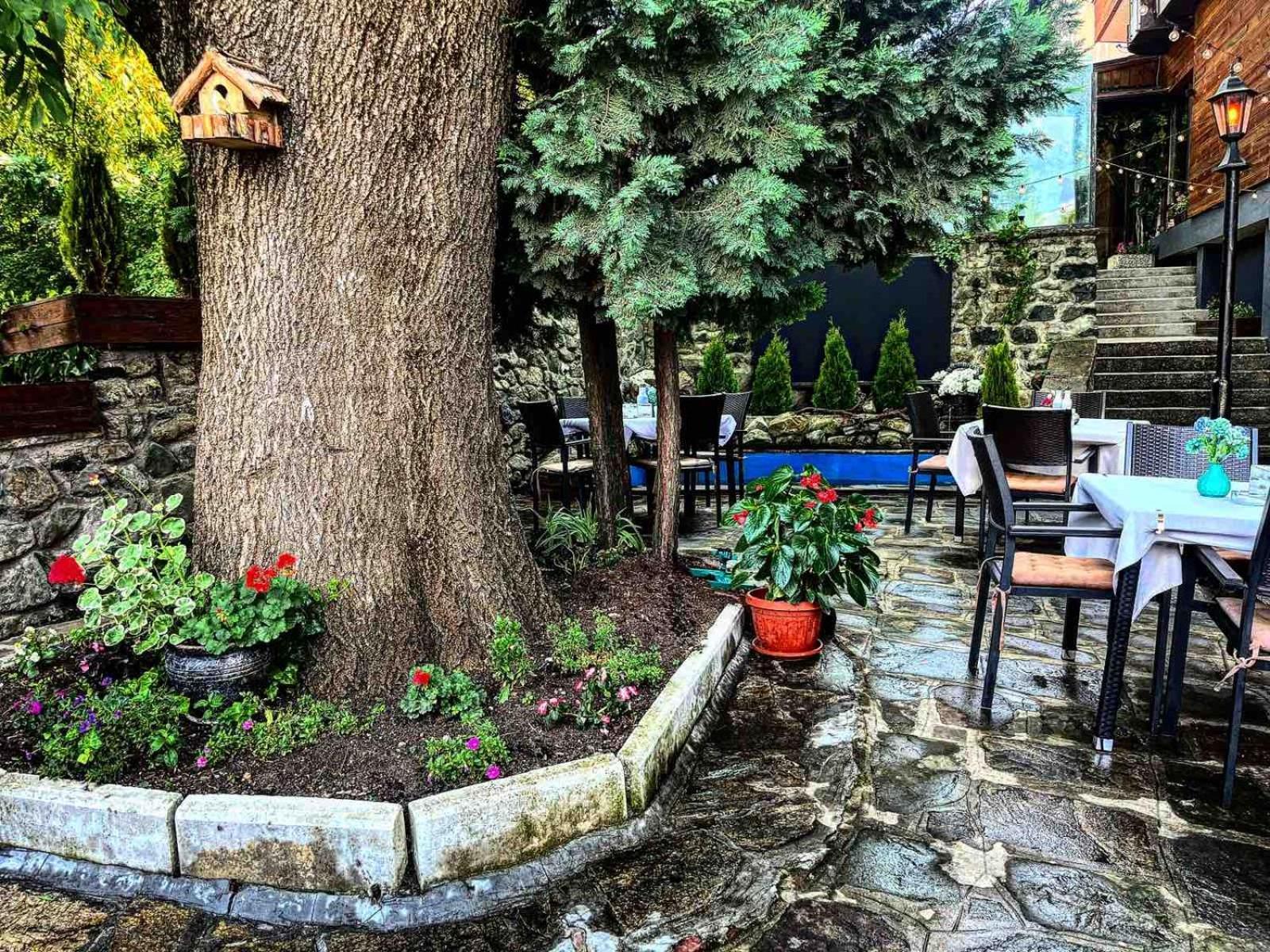 Andesite Boutique Residence Hotel Sofia Extérieur photo